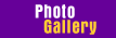 Photo Gallery